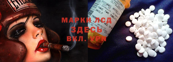 стафф Алексин
