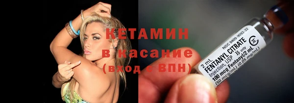 стафф Алексин