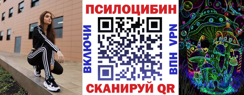 Купить закладки Карачаевск Галлюциногенные грибы Psilocybe