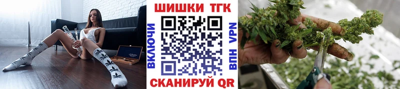 Каннабис план  Купить закладки  Карачаевск 
